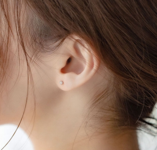 スクリーンショット_4-2-2026_112321_bloomonline.jp