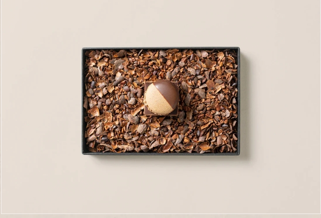 スクリーンショット_22-3-2026_233249_mameil.com